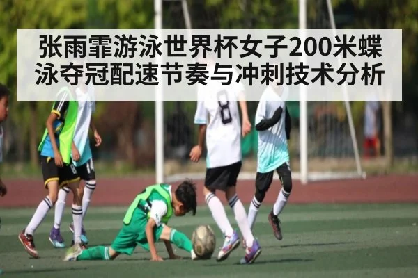 张雨霏游泳世界杯女子200米蝶泳夺冠配速节奏与冲刺技术分析（kaiyun）